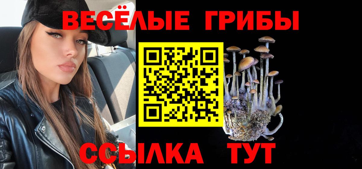 Губкинский  Псилоцибиновые грибы MAGIC MUSHROOMS  Вход с VPN 